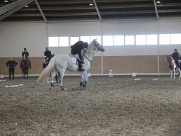 img_6004_web